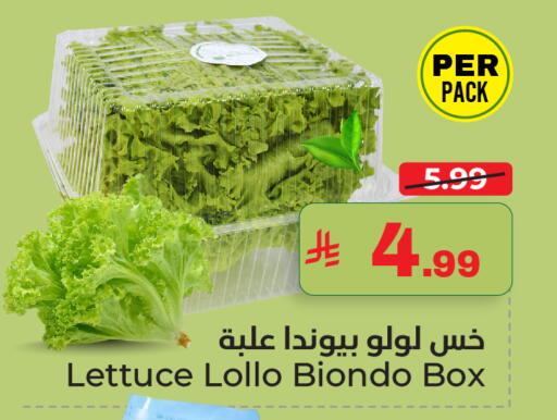 Lettuce available at نستو in مملكة العربية السعودية, السعودية, سعودية - الأحساء‎