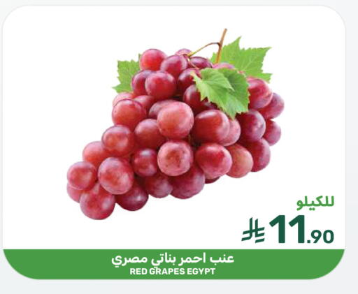 Grapes from Egypt available at  مـزايــا in مملكة العربية السعودية, السعودية, سعودية - المنطقة الشرقية