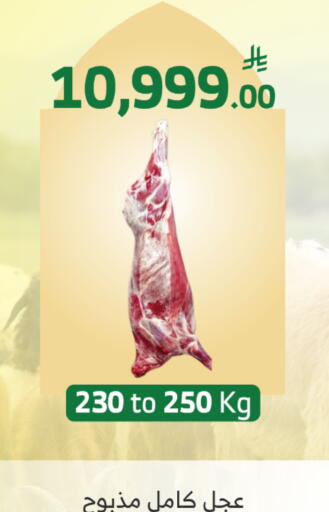 available at الراية in مملكة العربية السعودية, السعودية, سعودية - أبها