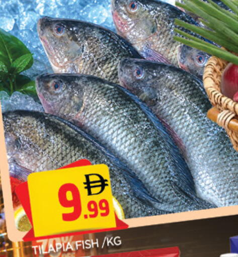 available at المدينة in الإمارات العربية المتحدة , الامارات - الشارقة / عجمان