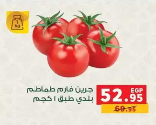 available at بنده in Egypt - القاهرة