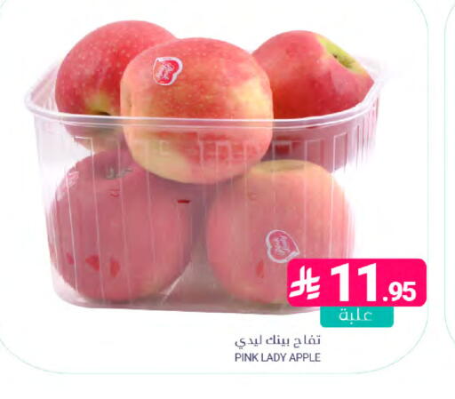 Apple available at اسواق المنتزه in مملكة العربية السعودية, السعودية, سعودية - المنطقة الشرقية