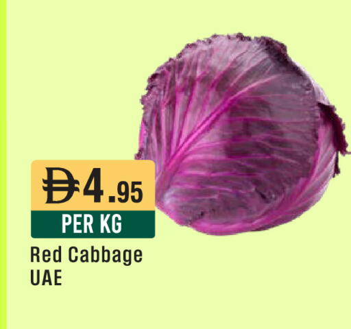 Cabbage available at ويست زون سوبرماركت in الإمارات العربية المتحدة , الامارات - الشارقة / عجمان