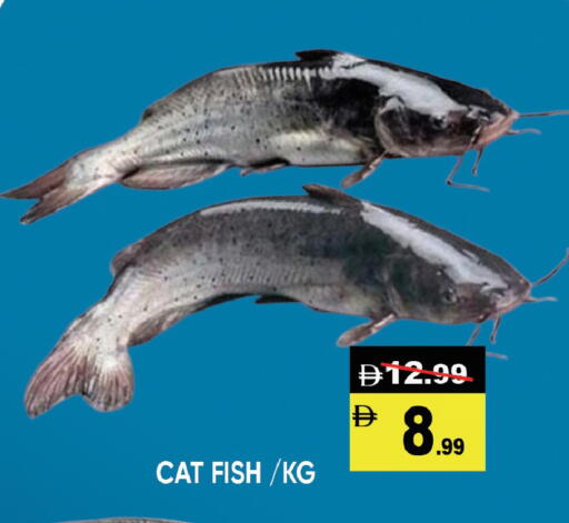 available at Leptis Hypermarket  in UAE - Al Ain