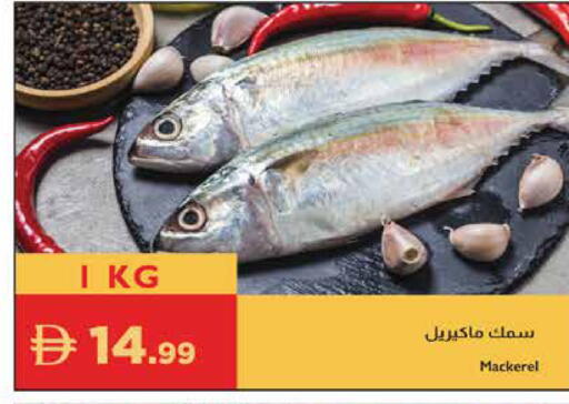 available at إسطنبول سوبرماركت in الإمارات العربية المتحدة , الامارات - الشارقة / عجمان