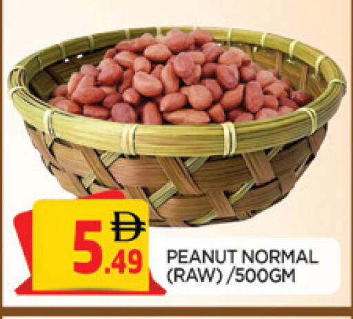 available at المدينة in الإمارات العربية المتحدة , الامارات - الشارقة / عجمان