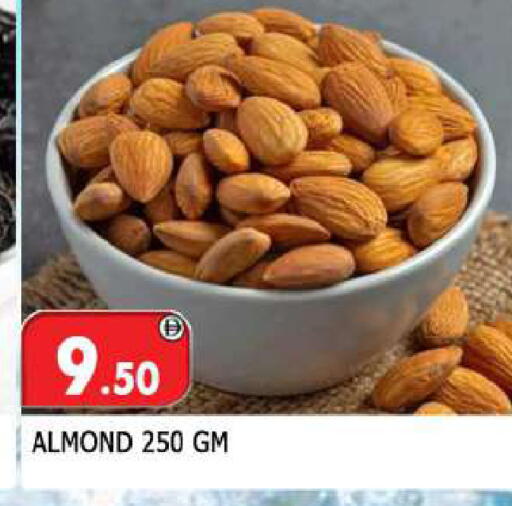 available at المدينة in الإمارات العربية المتحدة , الامارات - الشارقة / عجمان