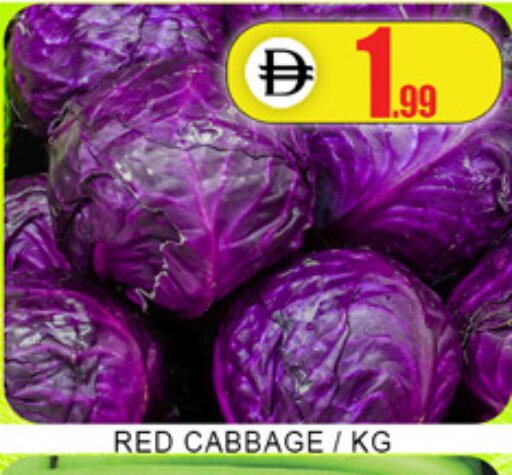 Cabbage available at Lucky Center in UAE - Sharjah / Ajman
