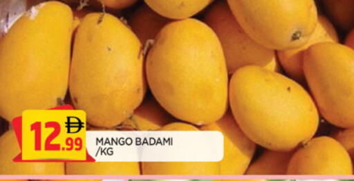 Mango available at المدينة in الإمارات العربية المتحدة , الامارات - الشارقة / عجمان