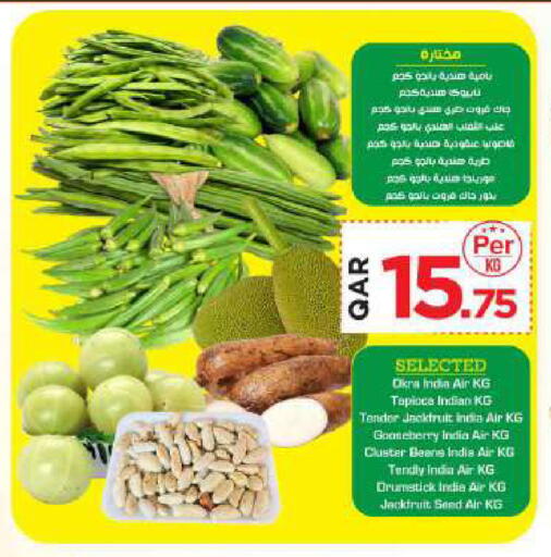 Jackfruit from India available at مارك & سيف in قطر - الضعاين