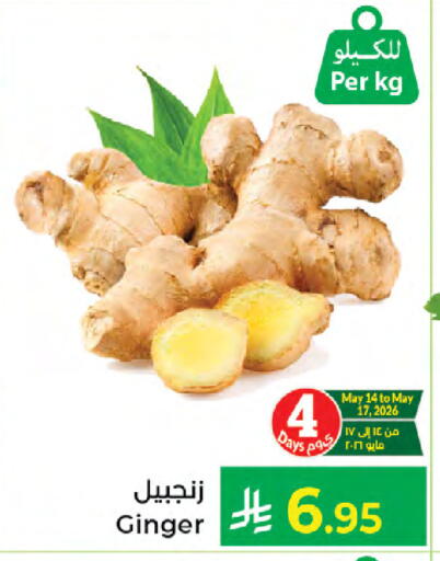 Ginger available at كبايان هايبرماركت in مملكة العربية السعودية, السعودية, سعودية - جدة