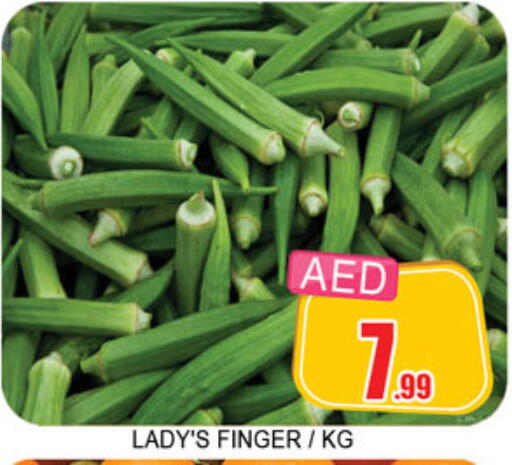 available at Lucky Center in UAE - Sharjah / Ajman
