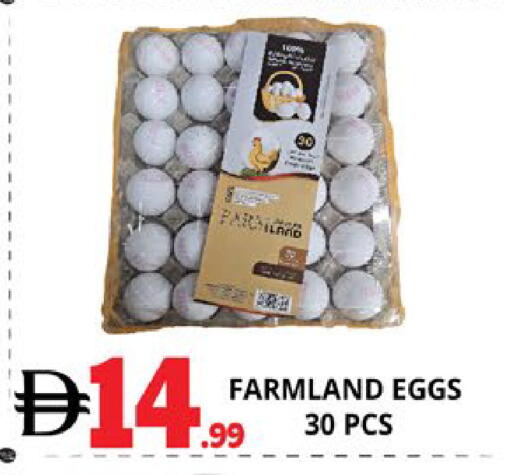 available at اكسبرس المدينة هايبرماركت in الإمارات العربية المتحدة , الامارات - أبو ظبي