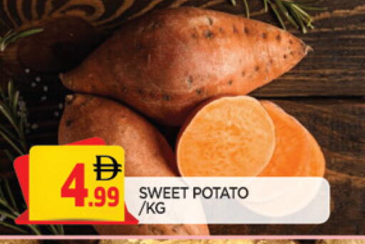 Sweet Potato available at المدينة in الإمارات العربية المتحدة , الامارات - الشارقة / عجمان