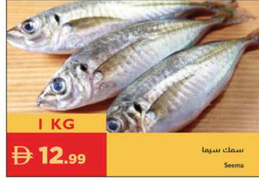 available at Istanbul Supermarket in UAE - Al Ain