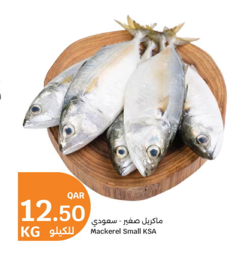 available at سيتي هايبرماركت in قطر - الشمال