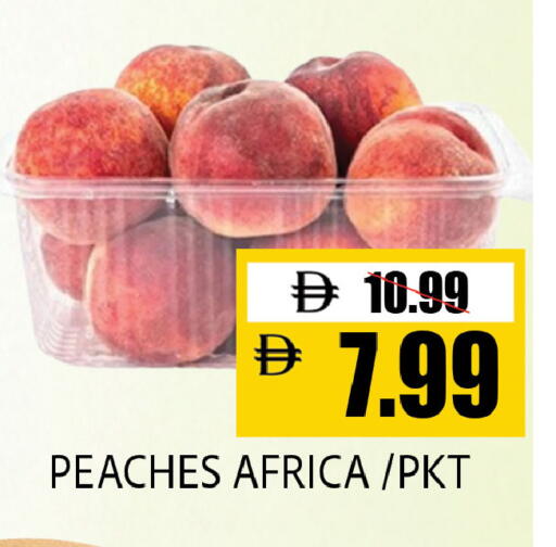 available at ليبتس هايبرماركت in الإمارات العربية المتحدة , الامارات - ٱلْعَيْن‎