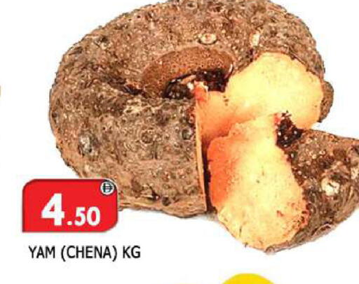 available at المدينة in الإمارات العربية المتحدة , الامارات - الشارقة / عجمان