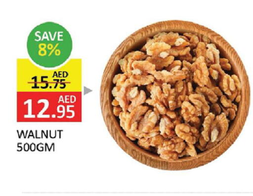 available at المدينة in الإمارات العربية المتحدة , الامارات - الشارقة / عجمان