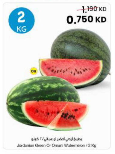 Watermelon from Jordan Oman available at مركز سلطان in الكويت - مدينة الكويت