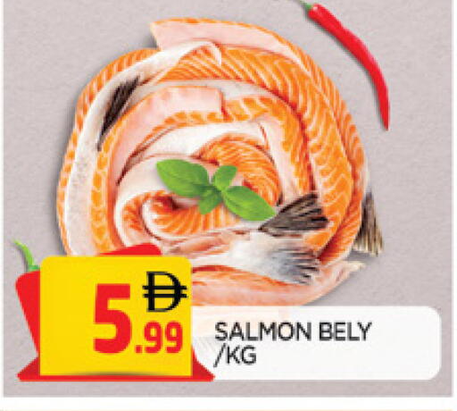 available at المدينة in الإمارات العربية المتحدة , الامارات - الشارقة / عجمان