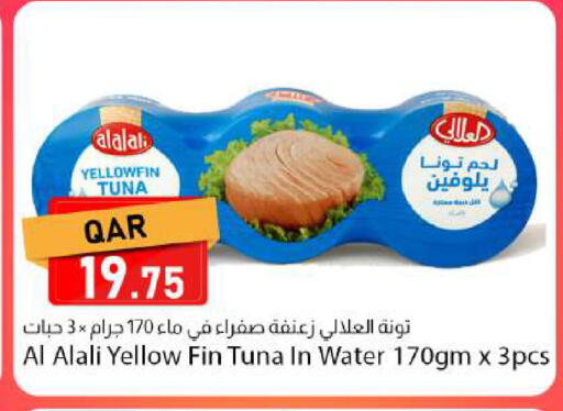 available at دانا ماركت in قطر - الشحانية