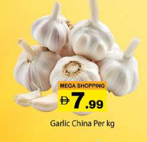 Garlic from China available at جلف هايبرماركت ذ.م.م in الإمارات العربية المتحدة , الامارات - رَأْس ٱلْخَيْمَة