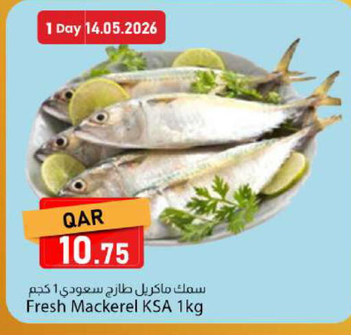 available at دانا ماركت in قطر - الشحانية