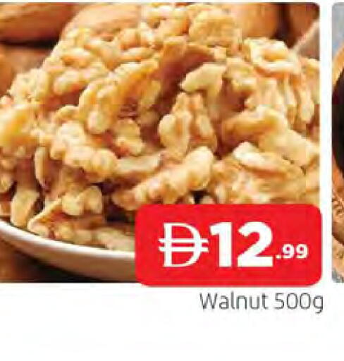 available at المدينة in الإمارات العربية المتحدة , الامارات - الشارقة / عجمان