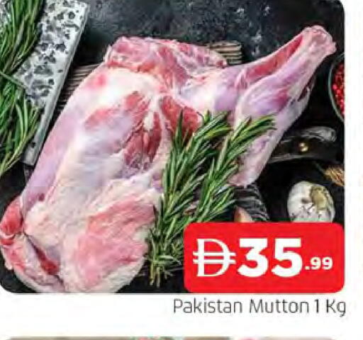 available at المدينة in الإمارات العربية المتحدة , الامارات - الشارقة / عجمان