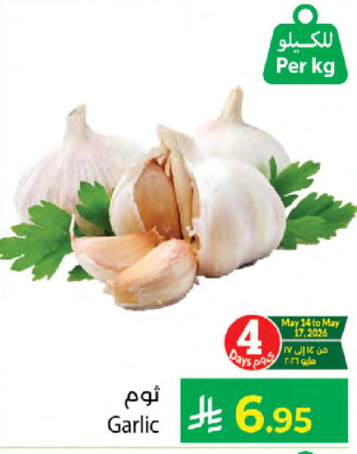 Garlic available at كبايان هايبرماركت in مملكة العربية السعودية, السعودية, سعودية - جدة