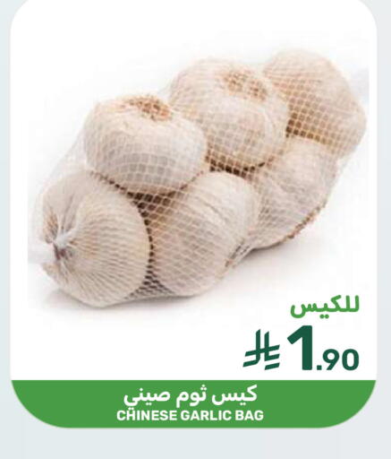 Garlic from China available at  مـزايــا in مملكة العربية السعودية, السعودية, سعودية - المنطقة الشرقية