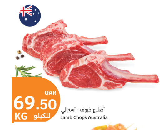 available at سيتي هايبرماركت in قطر - الشمال