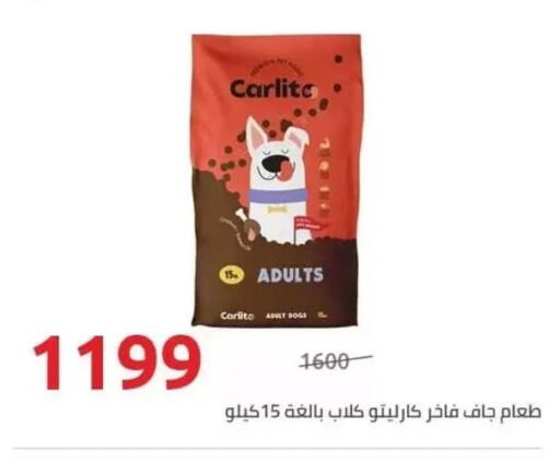 available at هايبر وان in Egypt - القاهرة