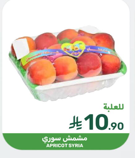 Apricot from Syria available at  مـزايــا in مملكة العربية السعودية, السعودية, سعودية - المنطقة الشرقية