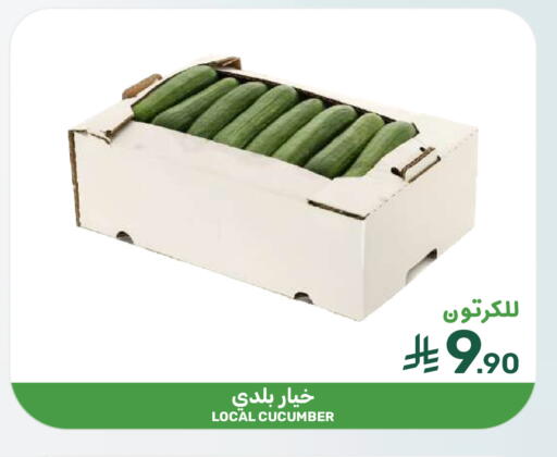 Cucumber available at  مـزايــا in مملكة العربية السعودية, السعودية, سعودية - المنطقة الشرقية