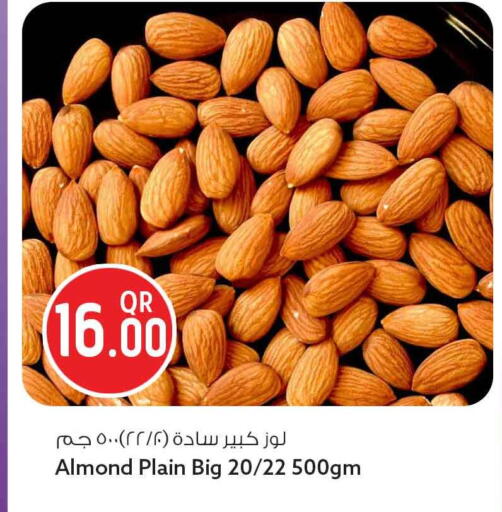 available at سفاري هايبر ماركت in قطر - الوكرة
