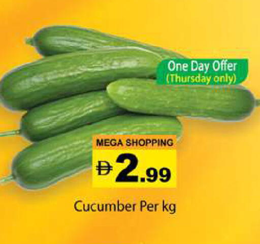 Cucumber available at جلف هايبرماركت ذ.م.م in الإمارات العربية المتحدة , الامارات - رَأْس ٱلْخَيْمَة