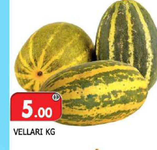 available at المدينة in الإمارات العربية المتحدة , الامارات - الشارقة / عجمان