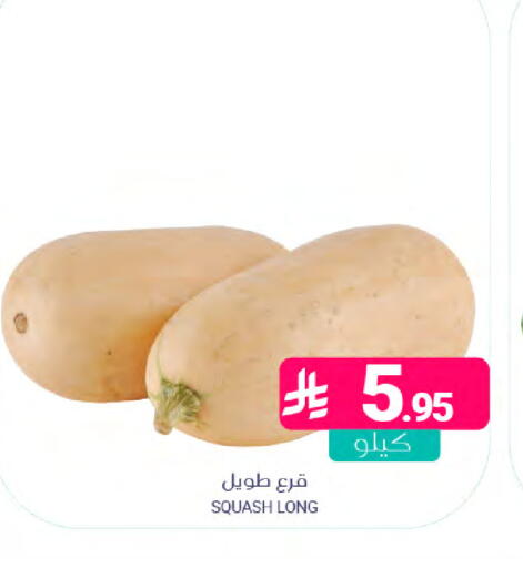 Squash available at اسواق المنتزه in مملكة العربية السعودية, السعودية, سعودية - المنطقة الشرقية