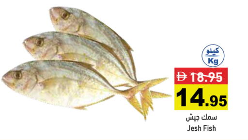 available at أسواق رامز in الإمارات العربية المتحدة , الامارات - دبي