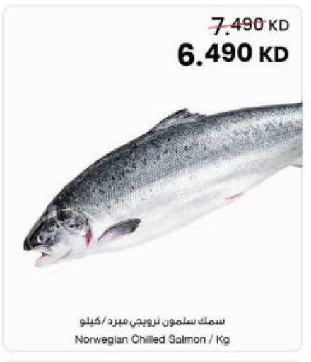 available at مركز سلطان in الكويت - مدينة الكويت
