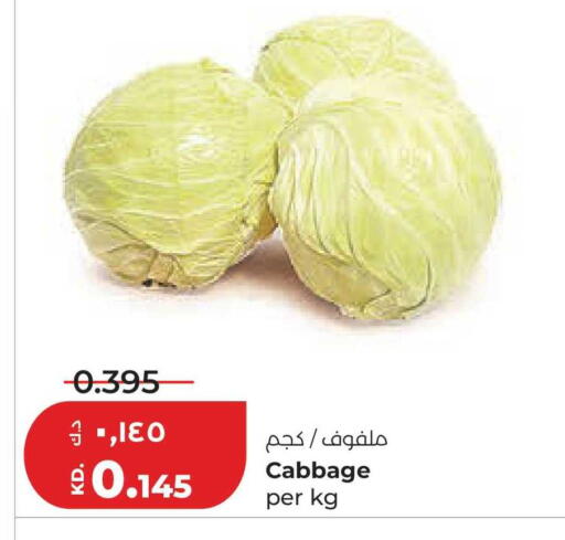 Cabbage available at لولو هايبر ماركت in الكويت - محافظة الجهراء