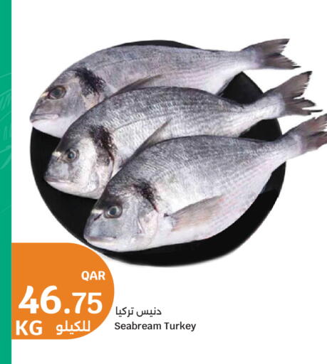 available at سيتي هايبرماركت in قطر - الشمال