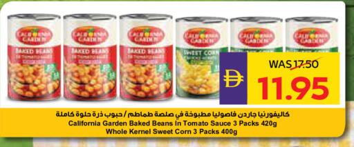 Tomato available at أدكووب in الإمارات العربية المتحدة , الامارات - ٱلْعَيْن‎
