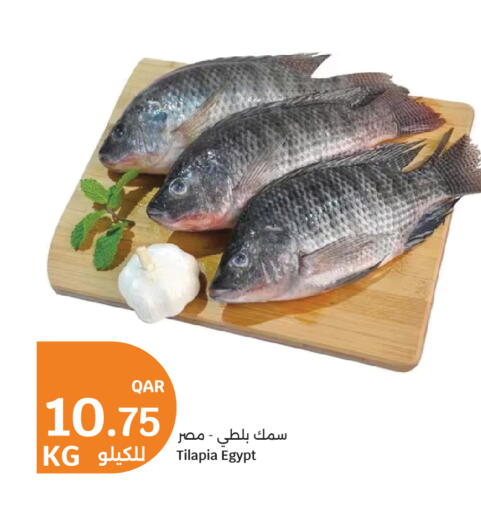 available at سيتي هايبرماركت in قطر - الشمال
