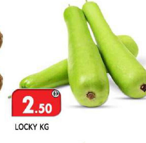 available at المدينة in الإمارات العربية المتحدة , الامارات - الشارقة / عجمان