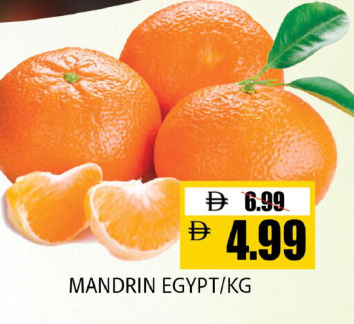 from Egypt available at ليبتس هايبرماركت in الإمارات العربية المتحدة , الامارات - ٱلْعَيْن‎