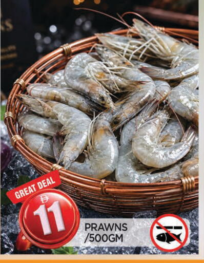 available at المدينة in الإمارات العربية المتحدة , الامارات - الشارقة / عجمان
