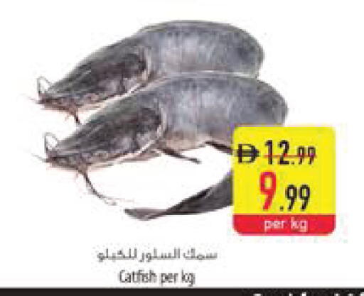 available at Safeer Market in UAE - Al Ain